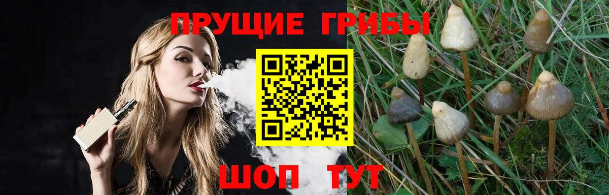 Чита  Галлюциногенные грибы MAGIC MUSHROOMS  Вход с VPN 