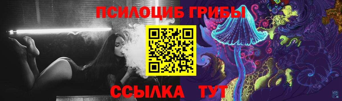 Псилоцибиновые грибы Psilocybine cubensis Чита